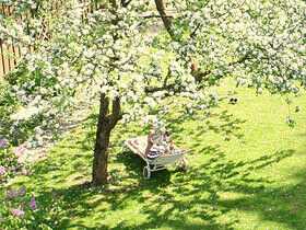 Ein toller Garten - so lässt sich Geschäfte machen